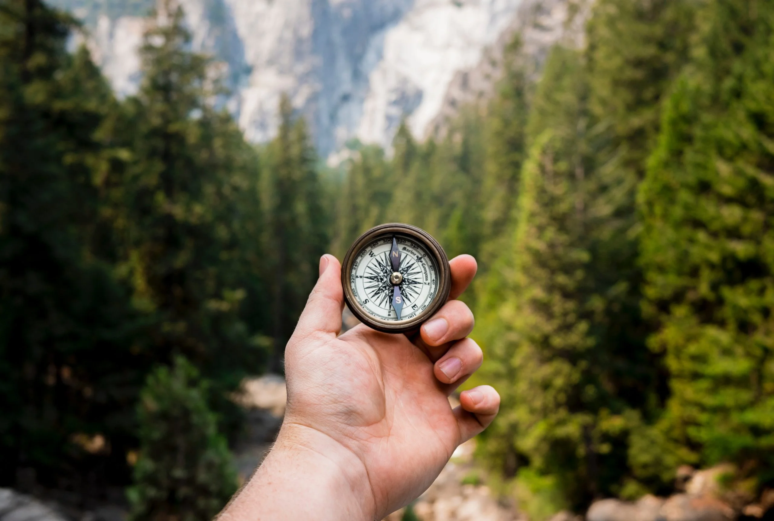 Blog coaching