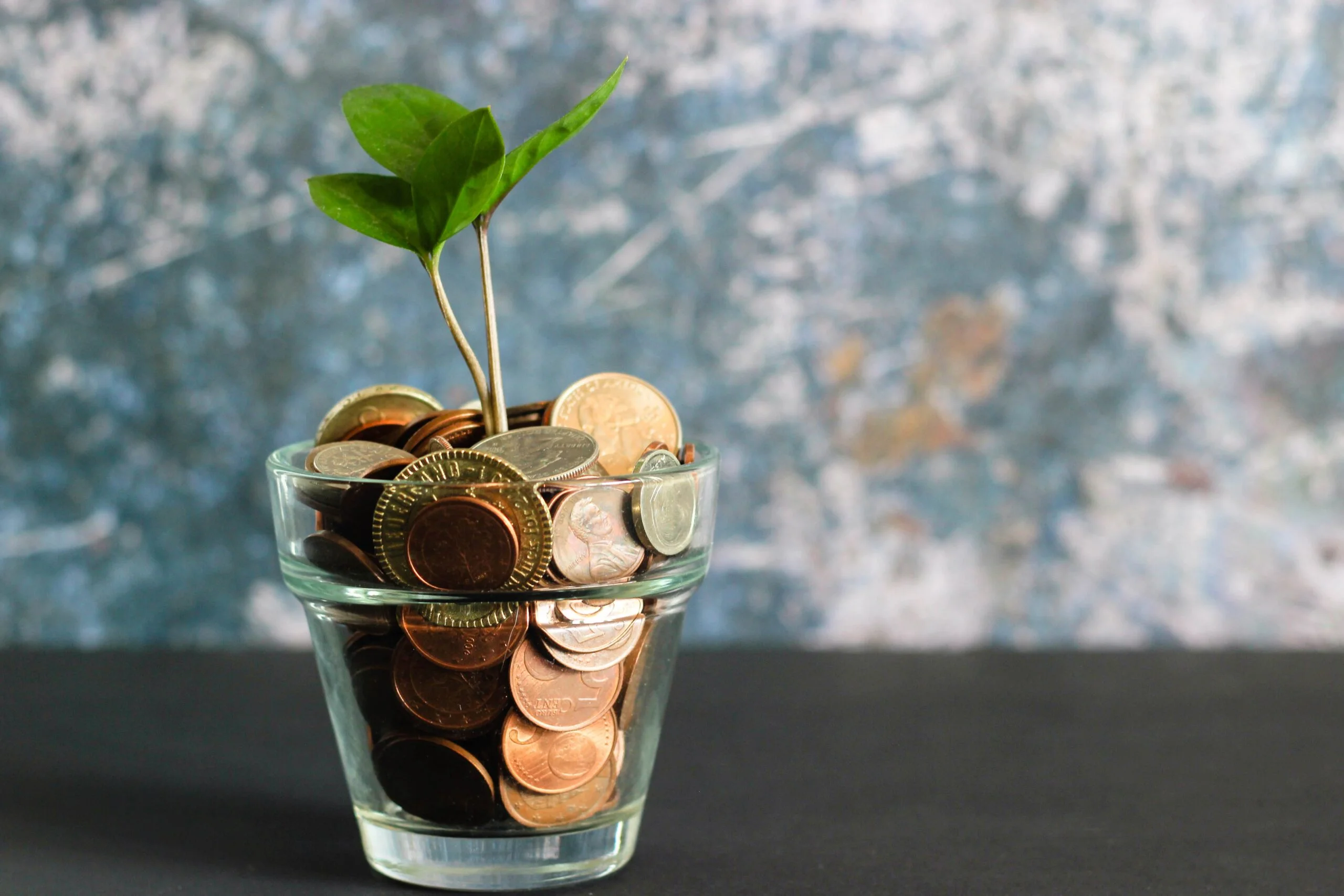Blog money blog cover
