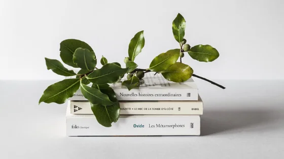 Blog books