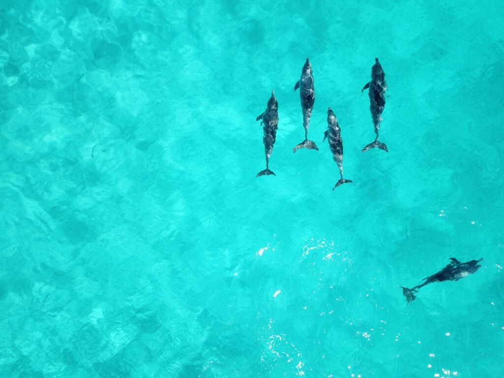 clear water