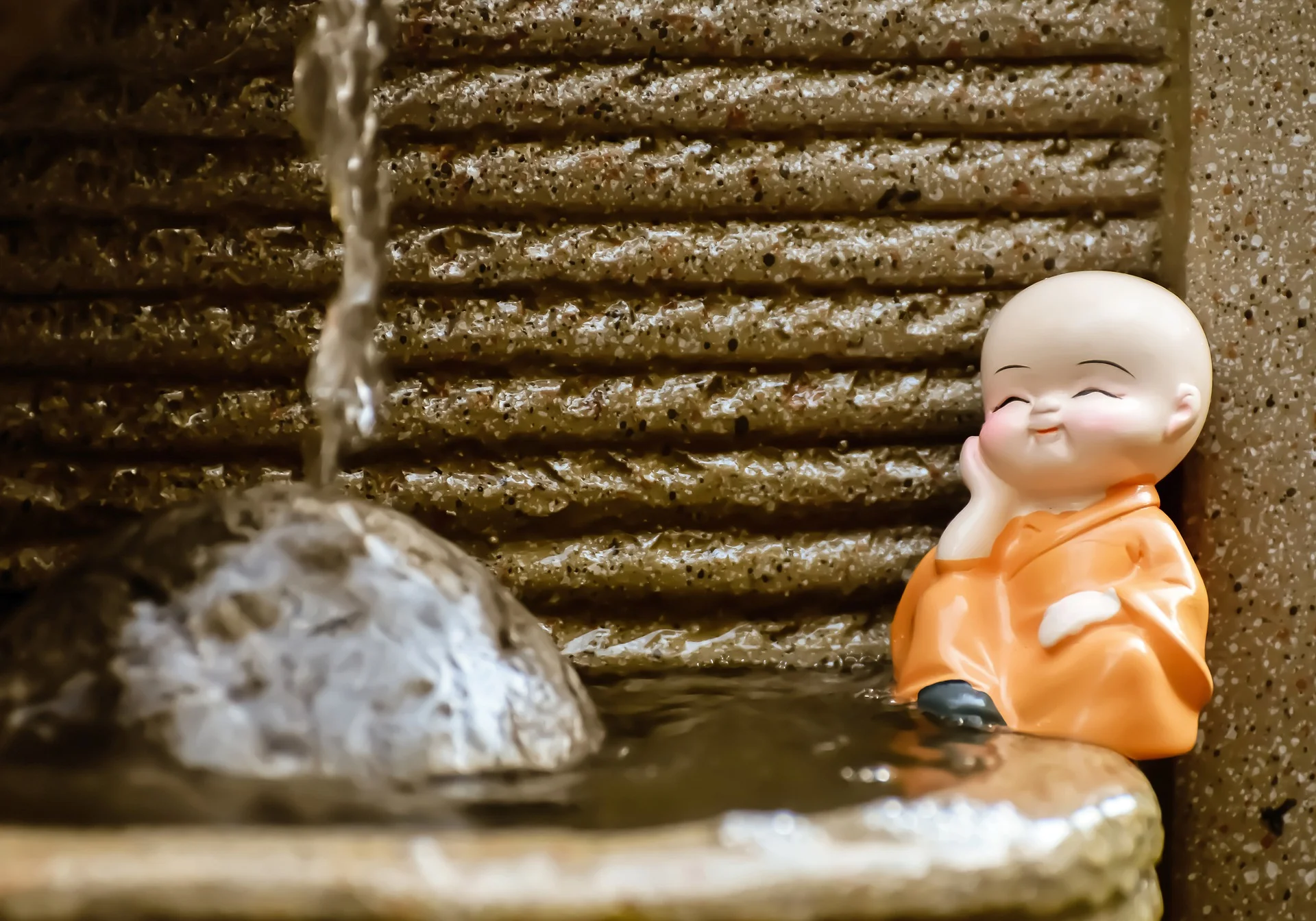 Blog monk books