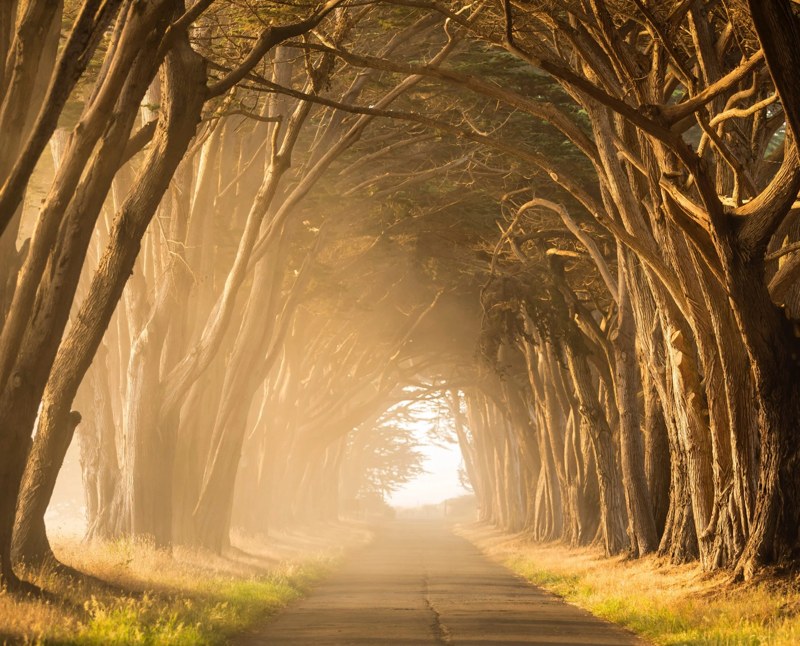 Blog Stephen Leonardi GyIRjKPXupE Unsplash Scaled